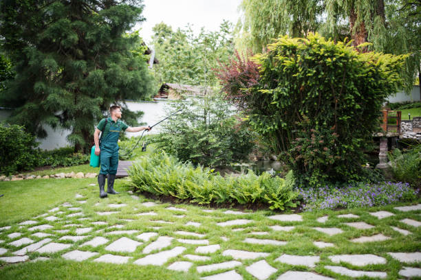 Best Affordable Pest Control Services  in South Valley Stream, NY