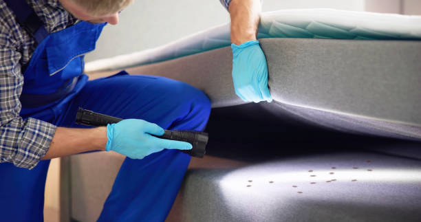 Reliable South Valley Stream, NY Pest Control Solutions